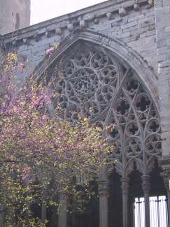 IMG_1262.JPG